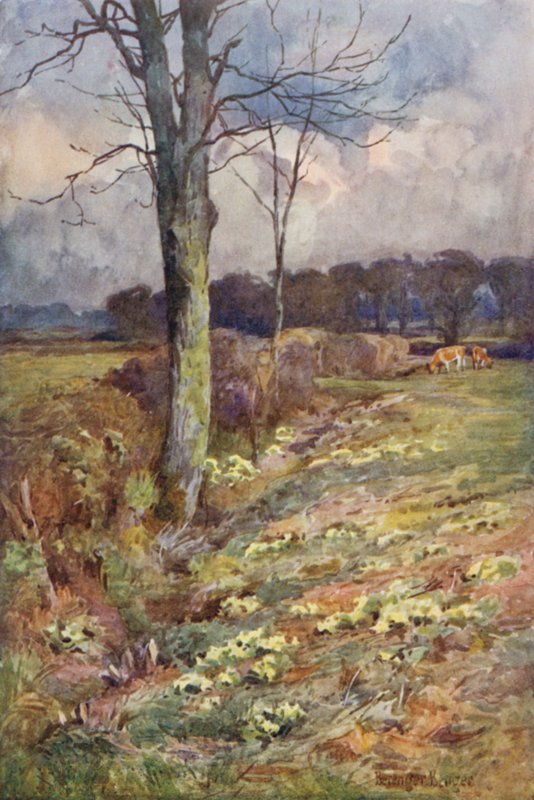 Laajeneva Vista tekijältä Ernest Benger or Berenger