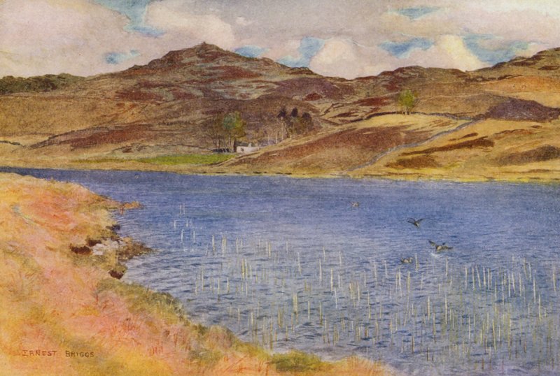 Loch Howie tai Wee (värilitografia) tekijältä Ernest Edward Briggs