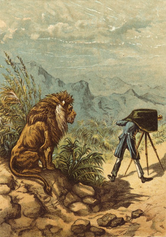 Lupaavat näkymät, leijona tarkkailee valokuvaajaa (chromolitho) tekijältä Ernest Henry Griset
