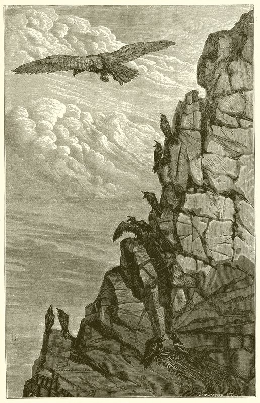 Kotka ja varis tekijältä Ernest Henry Griset