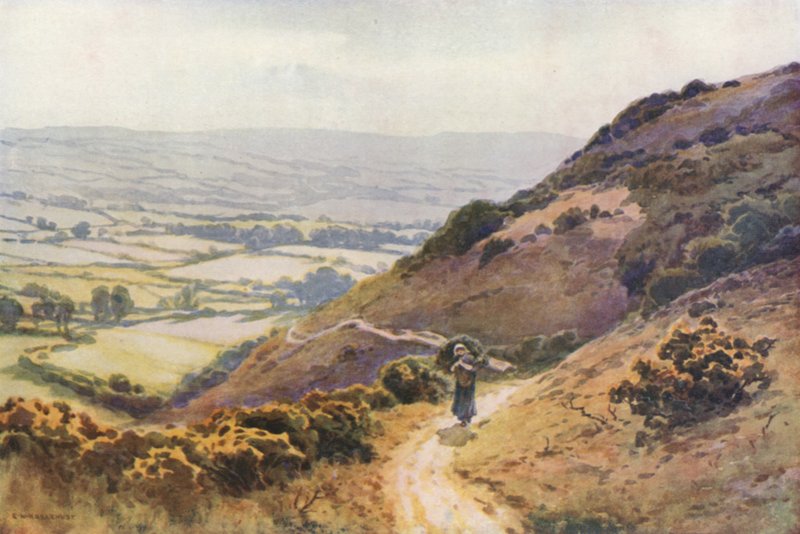 Ballard Down, Swanage (värijäsenet) tekijältä Ernest William Haslehust