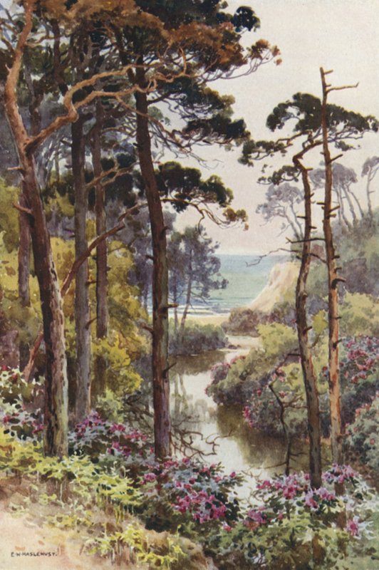 Branksome Chine, Bournemouth (väri litho) tekijältä Ernest William Haslehust