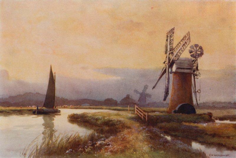 Viemäröintimyllyt muurahaisella (väri litho) tekijältä Ernest William Haslehust