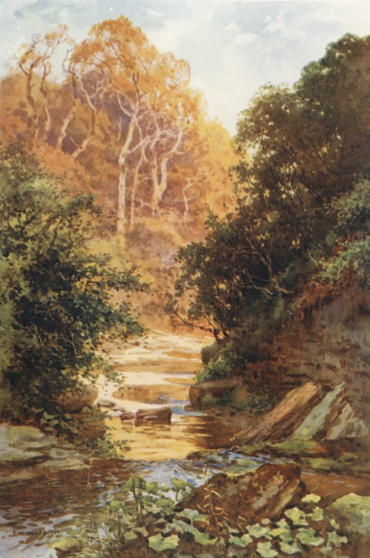Hayburn Wyke (väri litho) tekijältä Ernest William Haslehust