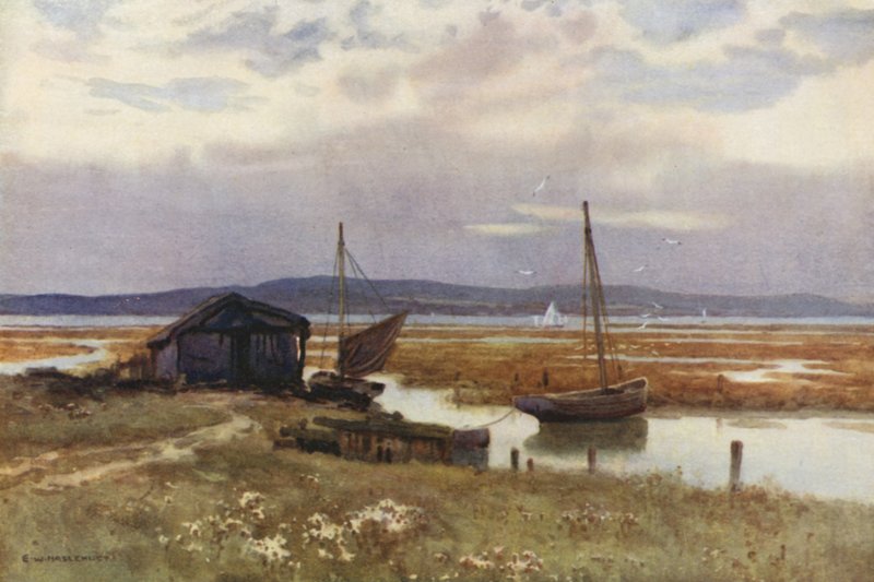 Lepe (värijäsenet) tekijältä Ernest William Haslehust