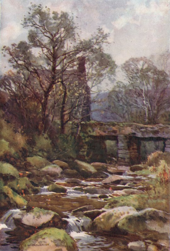 Ockery Bridge, lähellä Princetownia (väri litho) tekijältä Ernest William Haslehust
