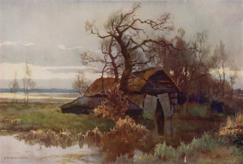 Old Boat-Houses, Barton Broad (väri litho) tekijältä Ernest William Haslehust