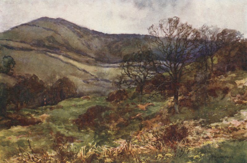 Shanklin Down, Early Spring (väri litho) tekijältä Ernest William Haslehust