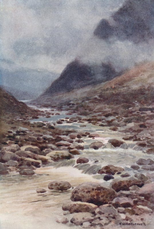 Fat Cleave (väri litho) tekijältä Ernest William Haslehust