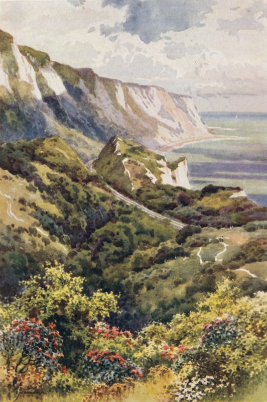 The Warren, Folkestone (väri litho) tekijältä Ernest William Haslehust