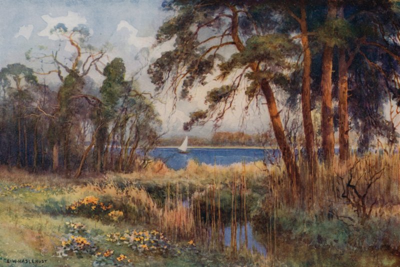 Wroxham Broad, Early Spring (väri litho) tekijältä Ernest William Haslehust