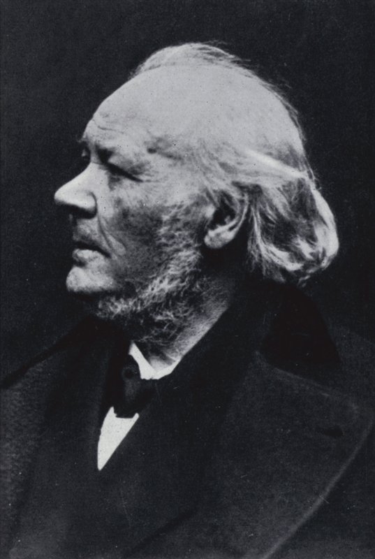 Kuvittaja Honore Daumier tekijältä Etienne Carjat