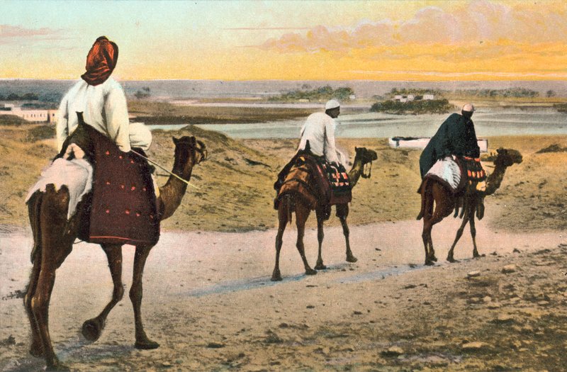 Kamelit, Pohjois-Afrikka tekijältä European Photographer