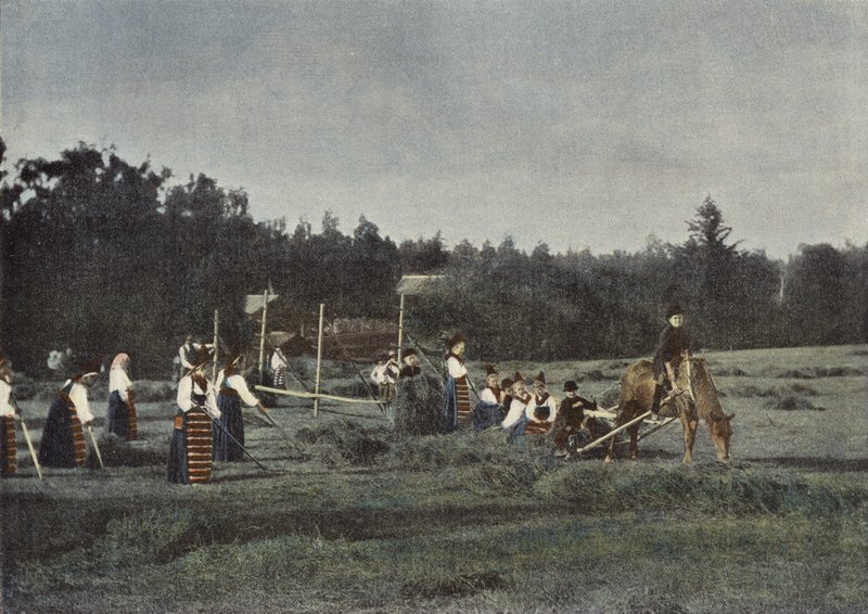Heinänleikkuu Dalecarliessa, Ruotsissa tekijältä European Photographer