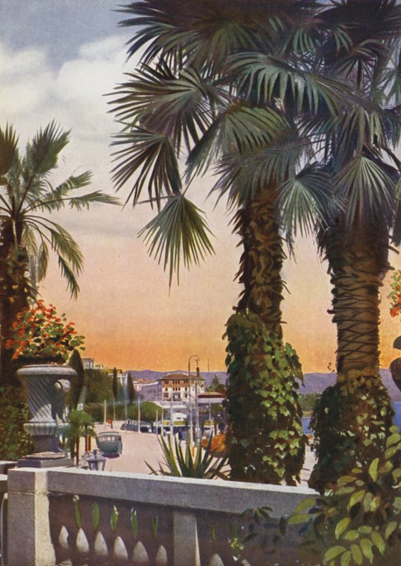 Opatija, nyt Opatija Kroatiassa: Näkymä palmuille Hotel Bellevuesta (kuva) tekijältä European Photographer