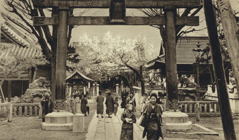 Japani, Tokion katu, kirsikankukinnan aika (m/w kuva) tekijältä European Photographer