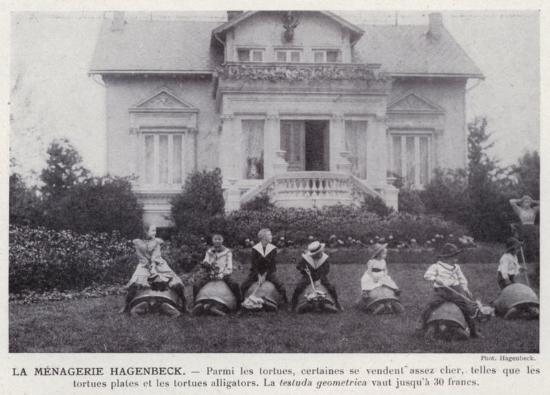La Menagerie Hagenbeck (m/w kuva) tekijältä European Photographer