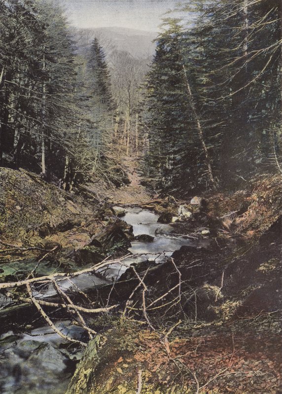 Luchon, Hauen ylälaakso tekijältä European Photographer