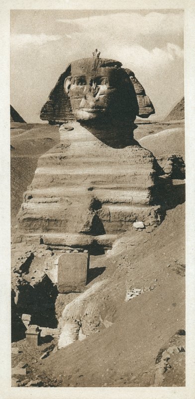 Suuri sfinksi Gizan tasangolla, Egypti (m/w kuva) tekijältä European Photographer