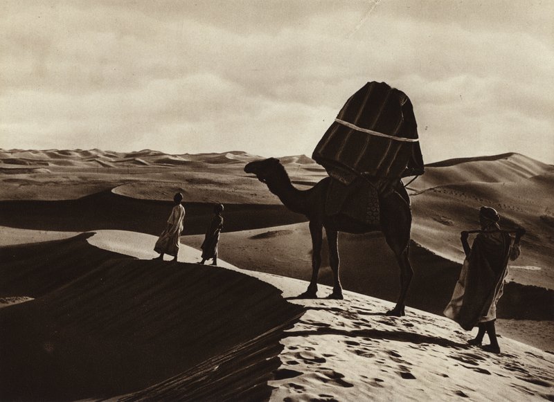 Naisten kuljetus Saharan halki (s/w-kuva) tekijältä European Photographer