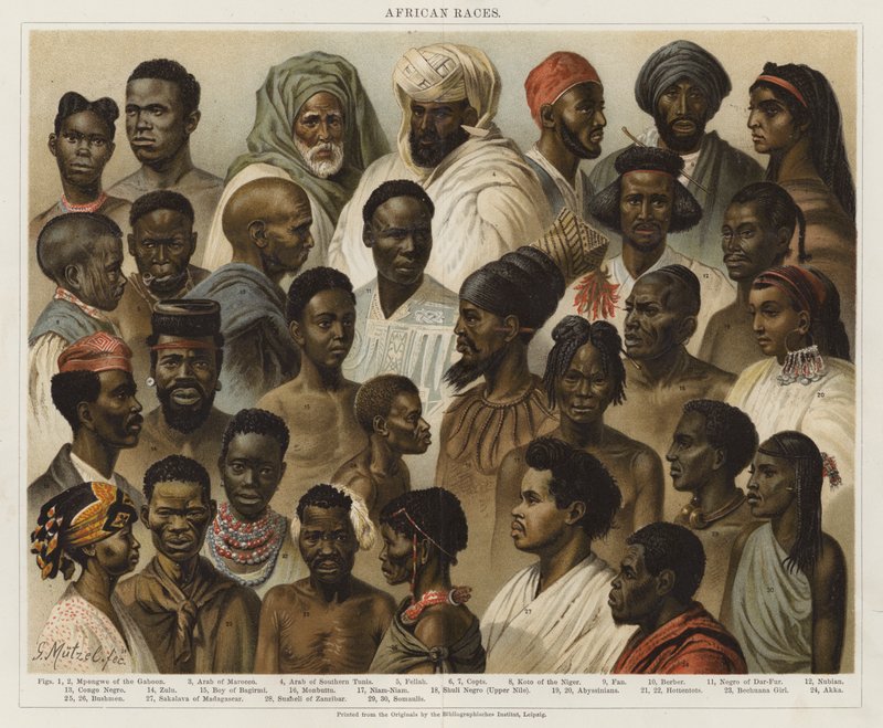 Afrikan rodut tekijältä European School