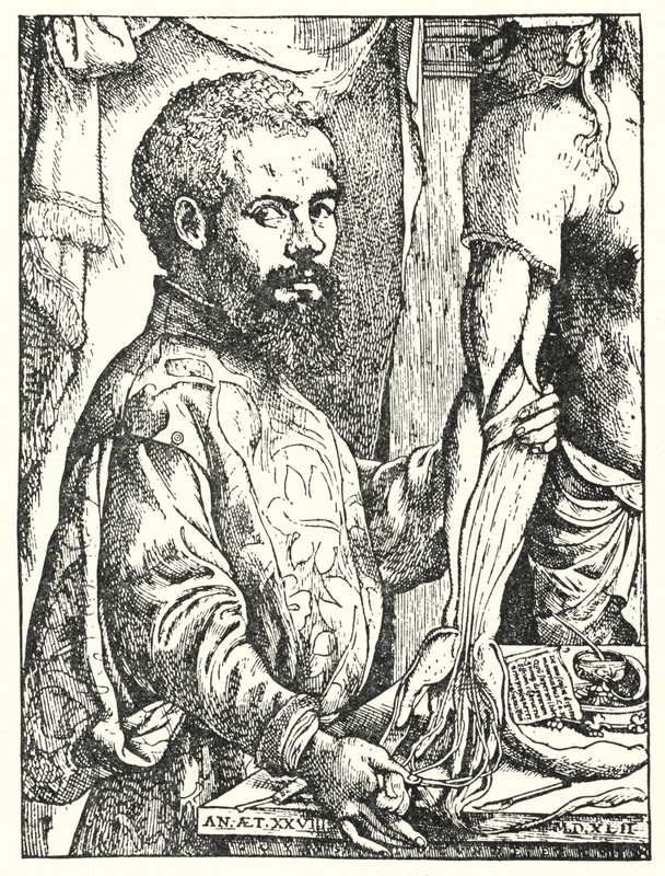 Andreas Vesalius (kaiverrus) tekijältä European School