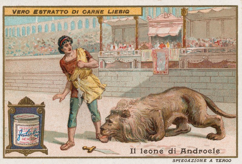 Androkles ja leijona tekijältä European School