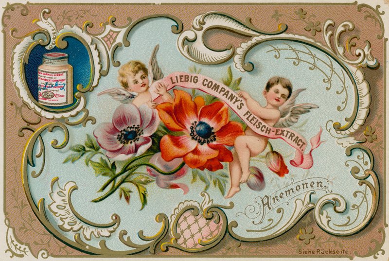 Anemone tekijältä European School