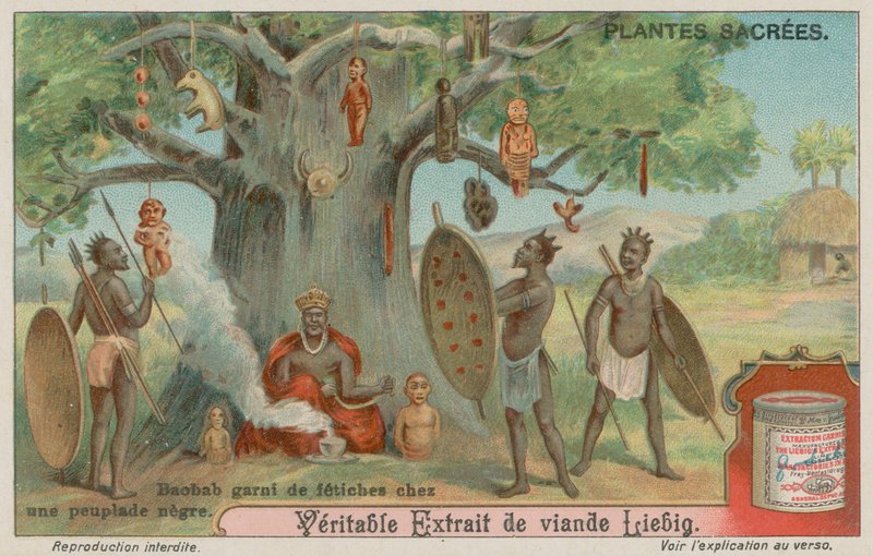 Baobab-puu ripusti fetissien kanssa afrikkalaisen heimon toimesta tekijältä European School