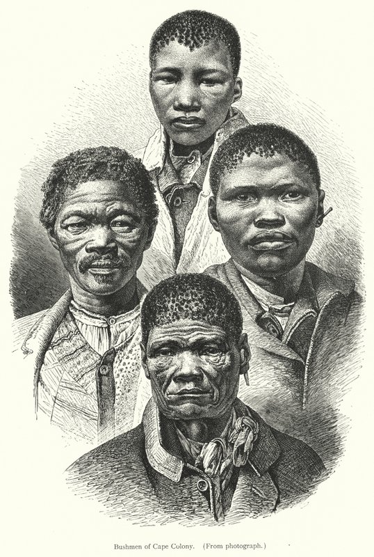 Bushmen of Cape Colony (kaiverrus) tekijältä European School