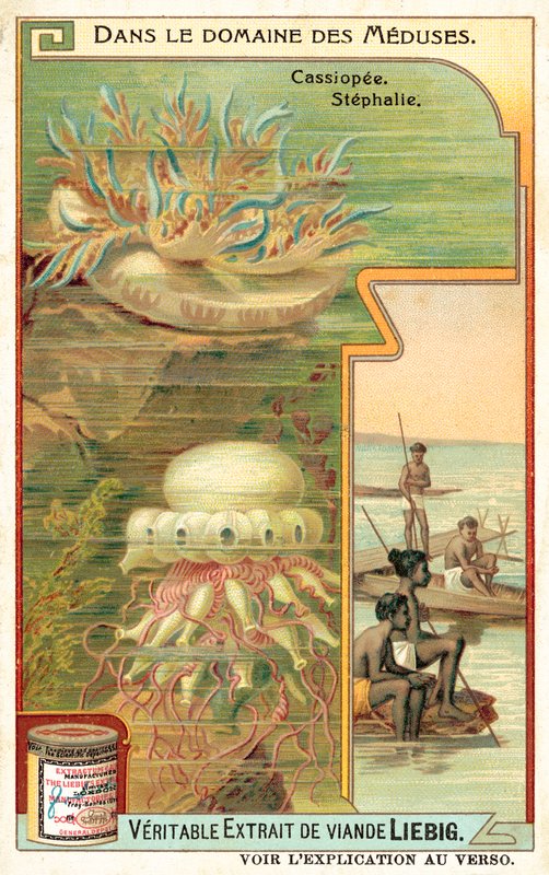 Cassiopeia ja Stephalia (chromolitho) tekijältä European School