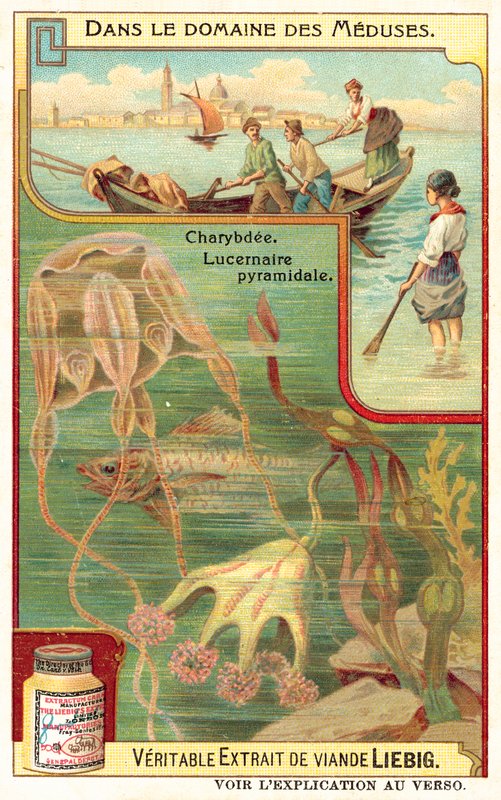 Charybdis ja Pyramidal Lucernia (chromolitho) tekijältä European School