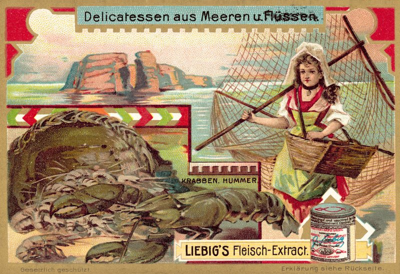 Rapu ja hummeri (chromolitho) tekijältä European School