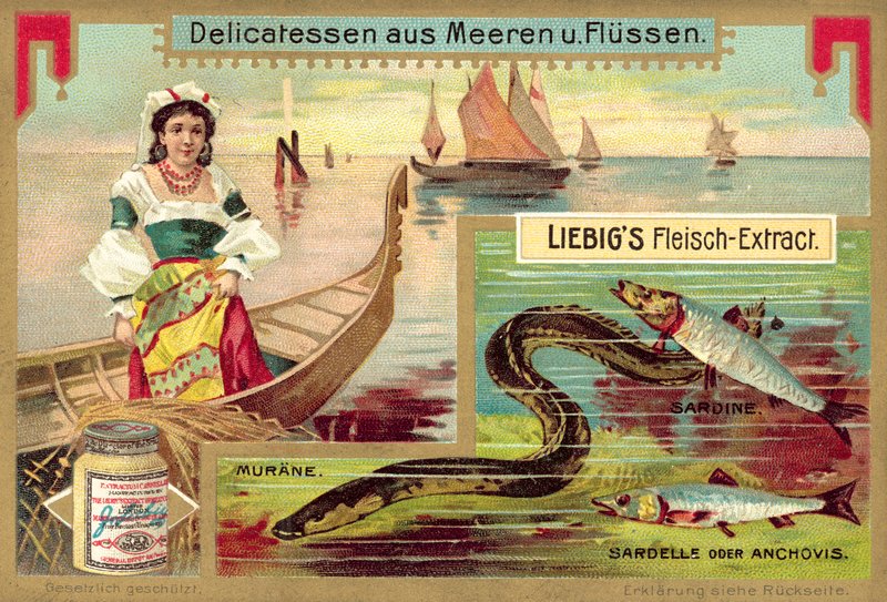 Ankerias, sardiini ja sardelli (chromolitho) tekijältä European School