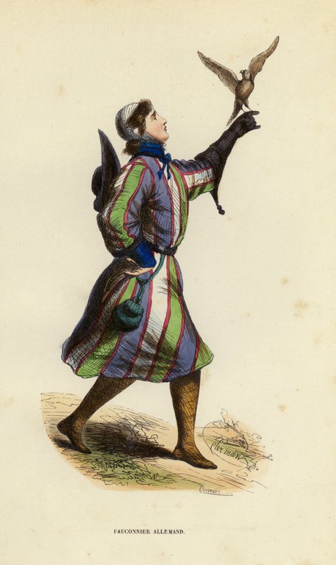 German Falconer (värillinen kaiverrus) tekijältä European School