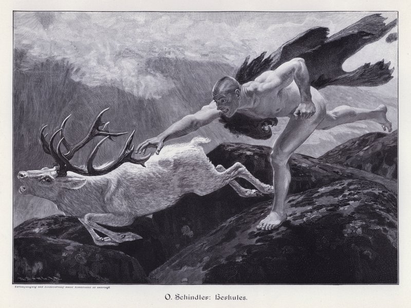 Hercules (kaiverrus) tekijältä European School