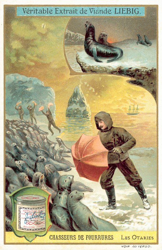 Merileijonien metsästys (chromolitho) tekijältä European School