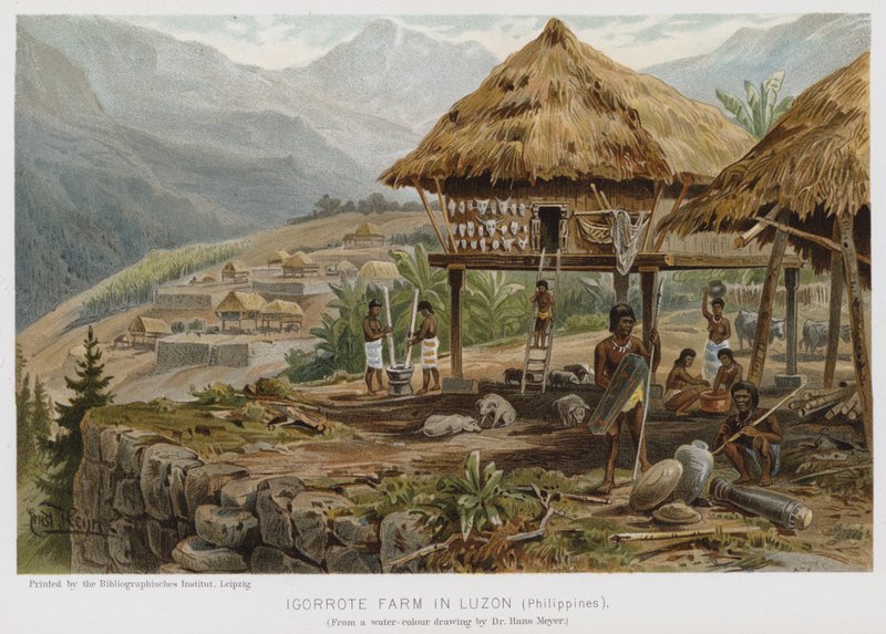 Igorrote Farm Luzonissa, Filippiineillä (chromolitho) tekijältä European School