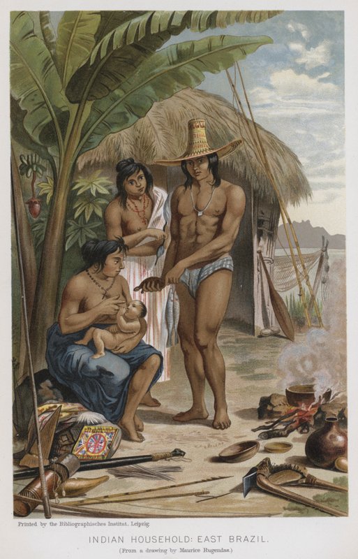 Intian kotitalous, Itä-Brasilia (chromolitho) tekijältä European School
