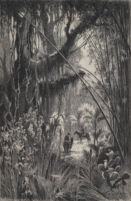 Viidakko Saltan Cordillerassa, Luoteis-Argentiina (litho) tekijältä European School