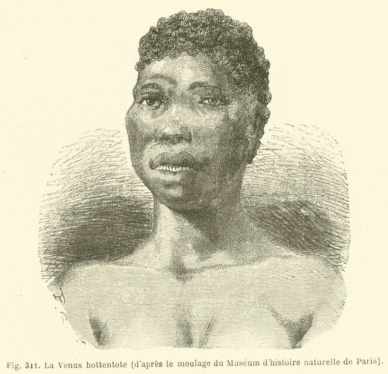 The Hottentot Venus, Pariisin luonnonhistoriallisen museon näyttelijöistä (kaiverrus) tekijältä European School