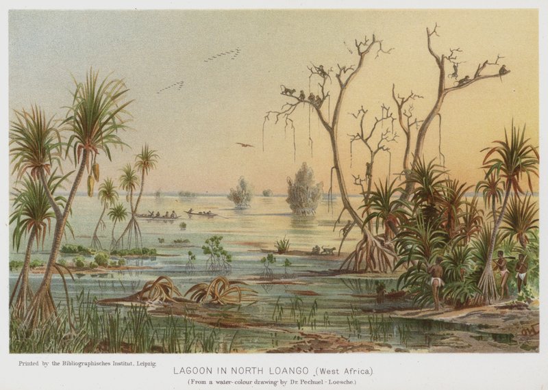 Laguuni Pohjois-Langossa, Länsi-Afrikassa (chromolitho) tekijältä European School