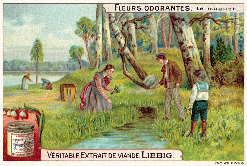 Kielo (chromolitho) tekijältä European School