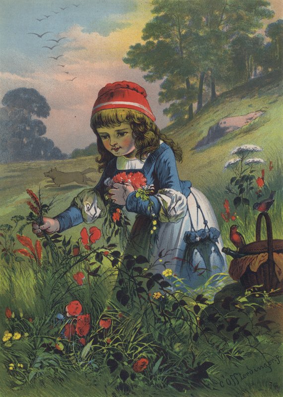 Punahilkka (väri litho) tekijältä European School