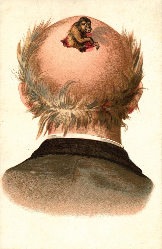 Miehen pää - apina kiipeää ulos (chromolitho). tekijältä European School