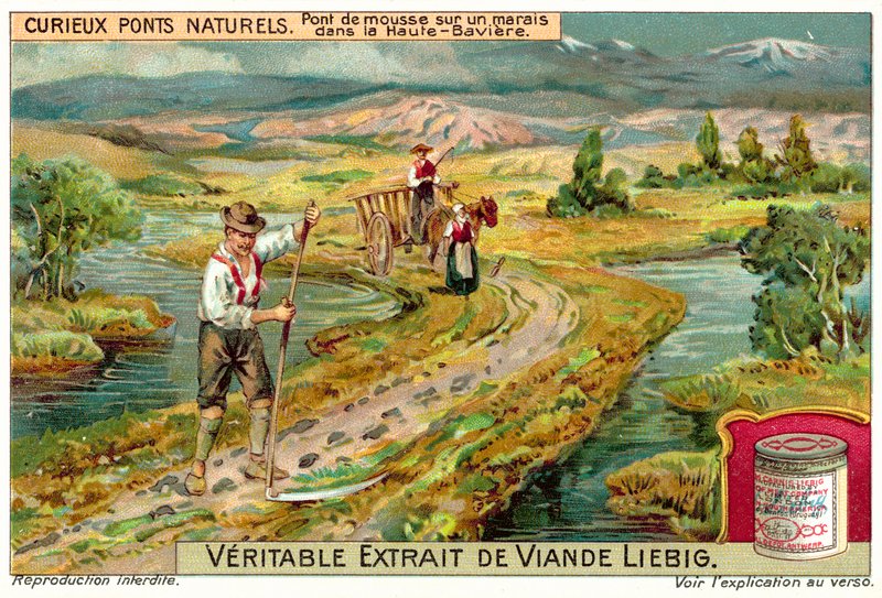Sammalsilta suossa Ylä-Baijerissa (chromolitho) tekijältä European School