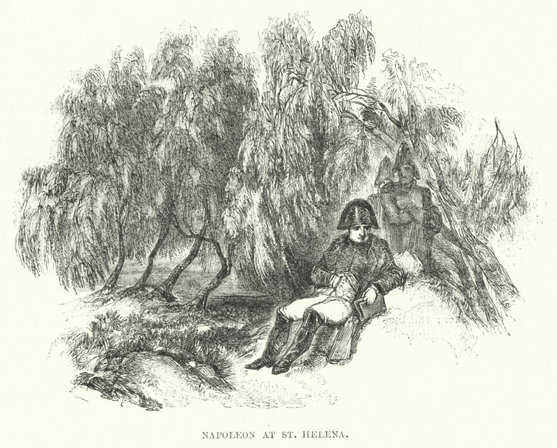 Napoleon at St Helena (kaiverrus) tekijältä European School