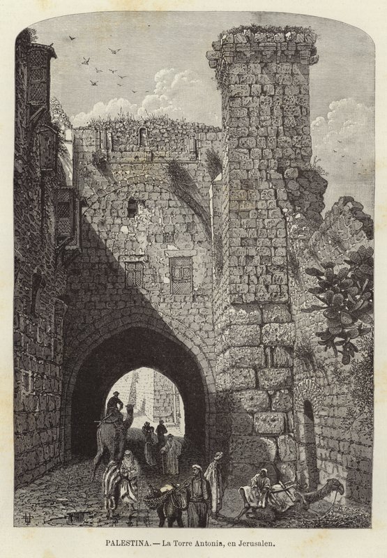 Palestiina, Antonia Tower, Jerusalemissa tekijältä European School