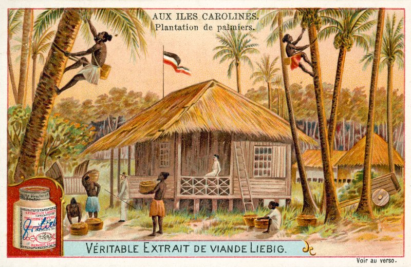 Palmuviljelmä, Caroline Islands (chromolitho) tekijältä European School