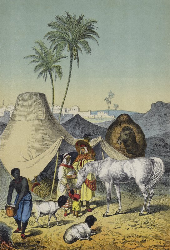 Pohjois-Afrikan ja Arabian ihmiset, eläimet ja kasvit (värilitho) tekijältä European School